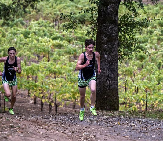 Greyhounds set the pace for State Greyhounds runners at Hoot Owl Vineyards