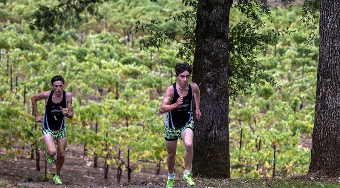 Greyhounds set the pace for State Greyhounds runners at Hoot Owl Vineyards
