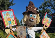 Snapshot: ’Tis the season for scarecrows Scarecrow in Healdsburg