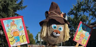 Scarecrow in Healdsburg