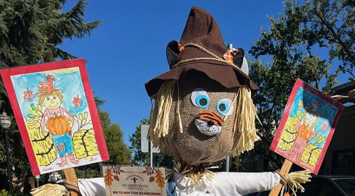 Scarecrow in Healdsburg