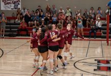 Midseason report on Greyhound sports Winning a point in volleyball