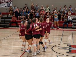 Midseason report on Greyhound sports Winning a point in volleyball