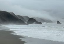 Sonoma coast on a gray day