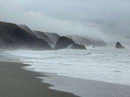 Sonoma coast on a gray day