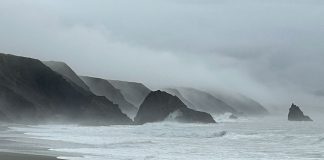 Sonoma coast on a gray day