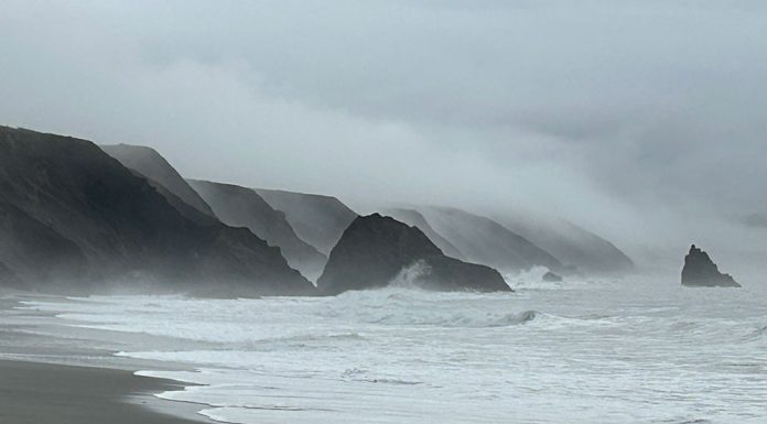 Sonoma coast on a gray day