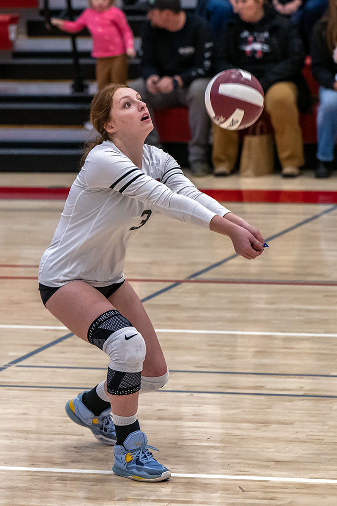 Liz Aleman plays volleyball