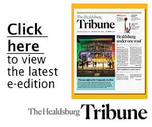 Click on the cover to read the issuu