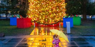 New Year Happenings, January 1-8, 2026 Girl and Tree