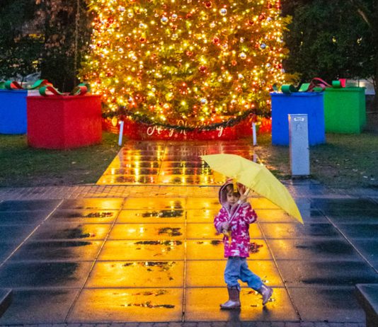 New Year Happenings, January 1-8, 2026 Girl and Tree