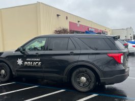 Police car at Sake 'O