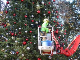 Holiday Happenings, December 4-12 Decorating the tree