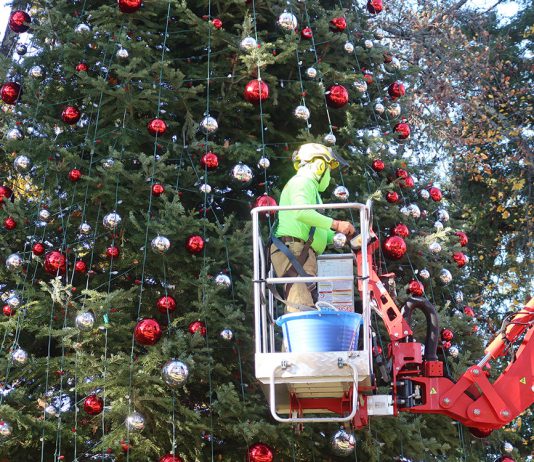 Holiday Happenings, December 4-12 Decorating the tree