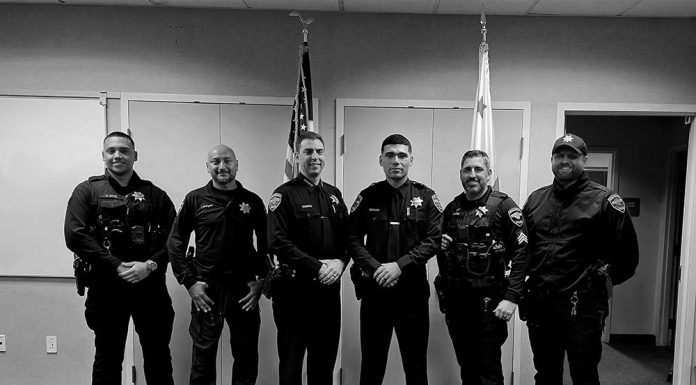 Police Log, Dec. 1-7 Police line-up