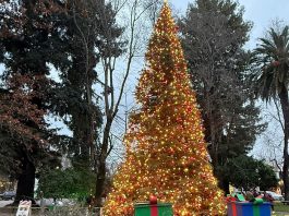 Grinch fails to dim Healdsburg Christmas
