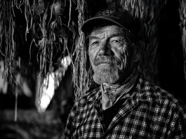 Healdsburg Happenings, Jan. 15-23 Paul Bernier