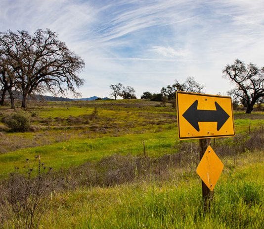 Esmeralda has eyes on Cloverdale resort site t-bone sign