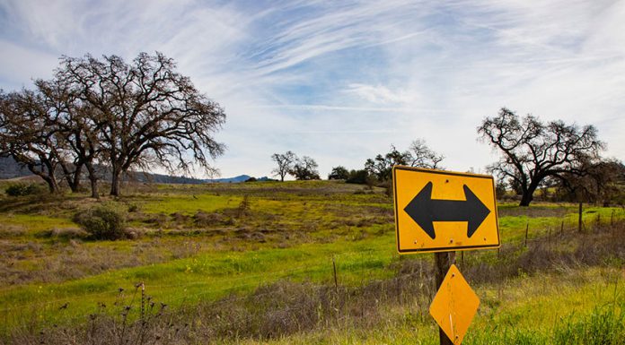 Esmeralda has eyes on Cloverdale resort site t-bone sign