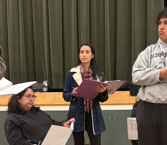 Mexican hero becomes a family legend Rehearsal for 'Who Will Dance with Pancho Villa?'