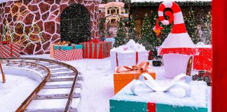 Winter events keep Healdsburg Plaza lively