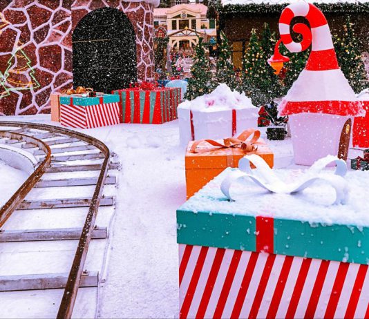 Winter events keep Healdsburg Plaza lively