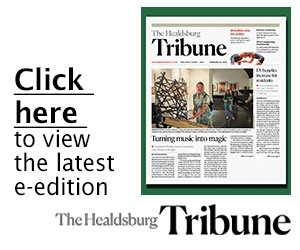 Click small image to launch large e-edition