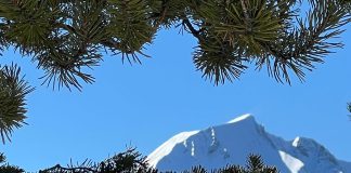 Snowy mountains in Montana