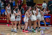 Greyhounds celebrate win