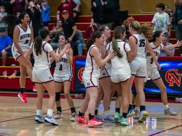 Greyhounds celebrate win