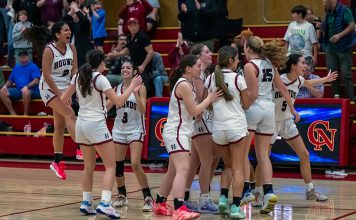 Greyhounds celebrate win