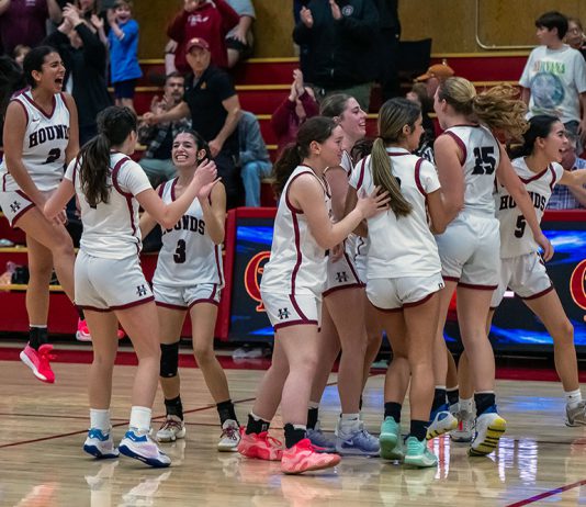 Greyhounds celebrate win