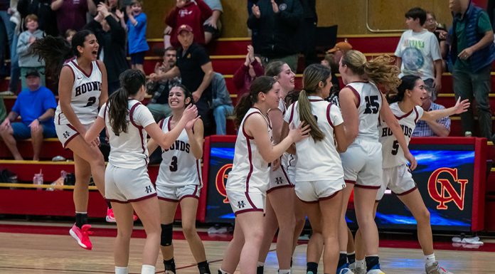 Greyhounds celebrate win