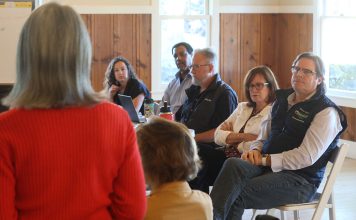 Council takes comment