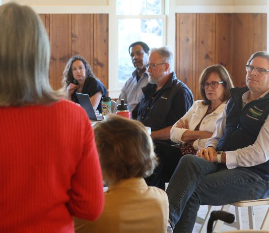 Council takes comment