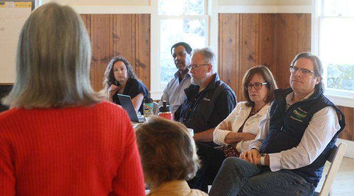 Council takes comment