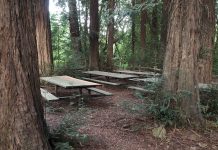 Riverfront Regional Park, Windsor