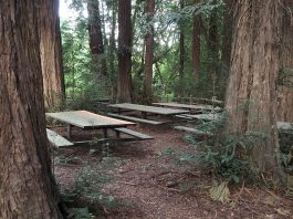 Riverfront Regional Park, Windsor