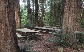 Riverfront Regional Park, Windsor