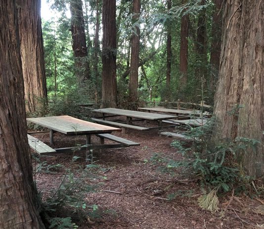 Riverfront Regional Park, Windsor