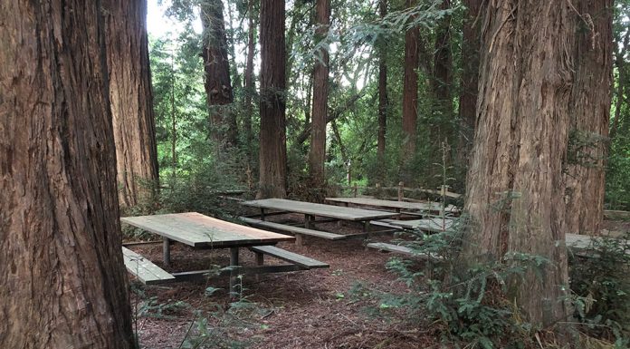 Riverfront Regional Park, Windsor