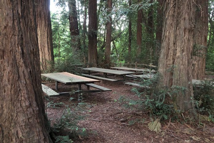 Riverfront Regional Park, Windsor