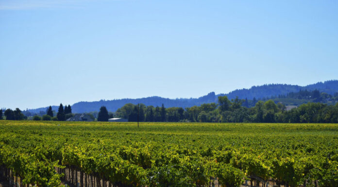The growing push for transparency in Healdsburg business licensing