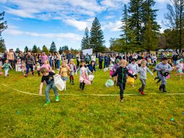 Easter Egg Hunt in Healdsburg
