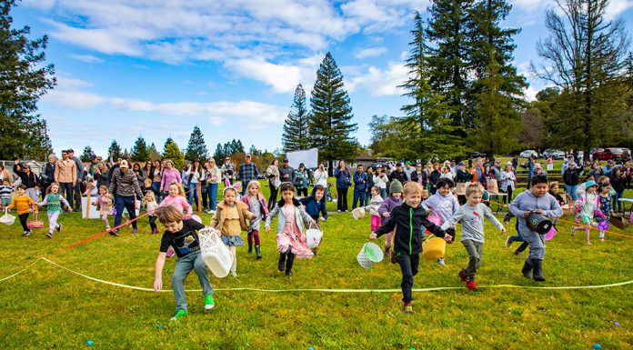 Easter Egg Hunt in Healdsburg