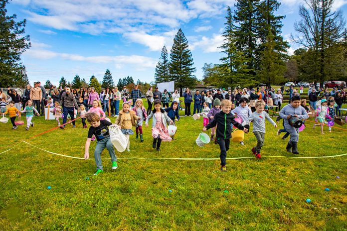 Easter Egg Hunt in Healdsburg