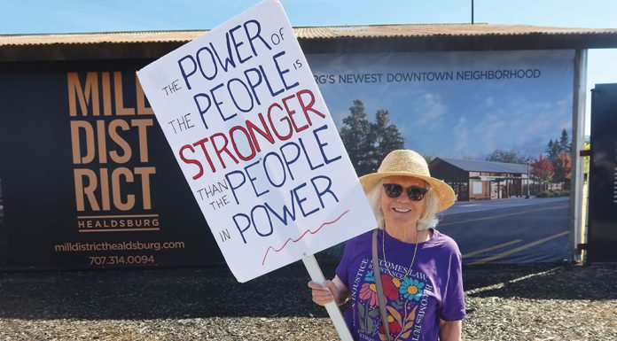 Demonstrator on No Kings 3