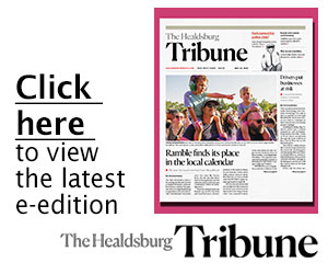 click here to view the latest paper