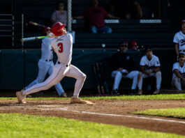 Playoffs underway for baseball, softball Hounds