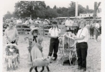 Little Bo-Peep